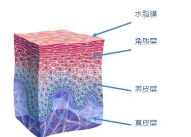 补水≠保湿，这个真相要弄清楚！