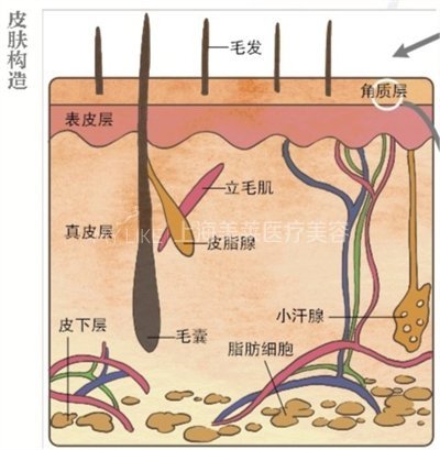 当心秋风也会伤了你的肌肤